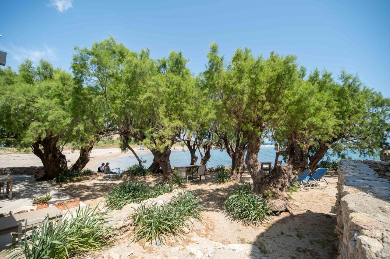 Mylos Seaside Experience Frangocastelo Bagian luar foto